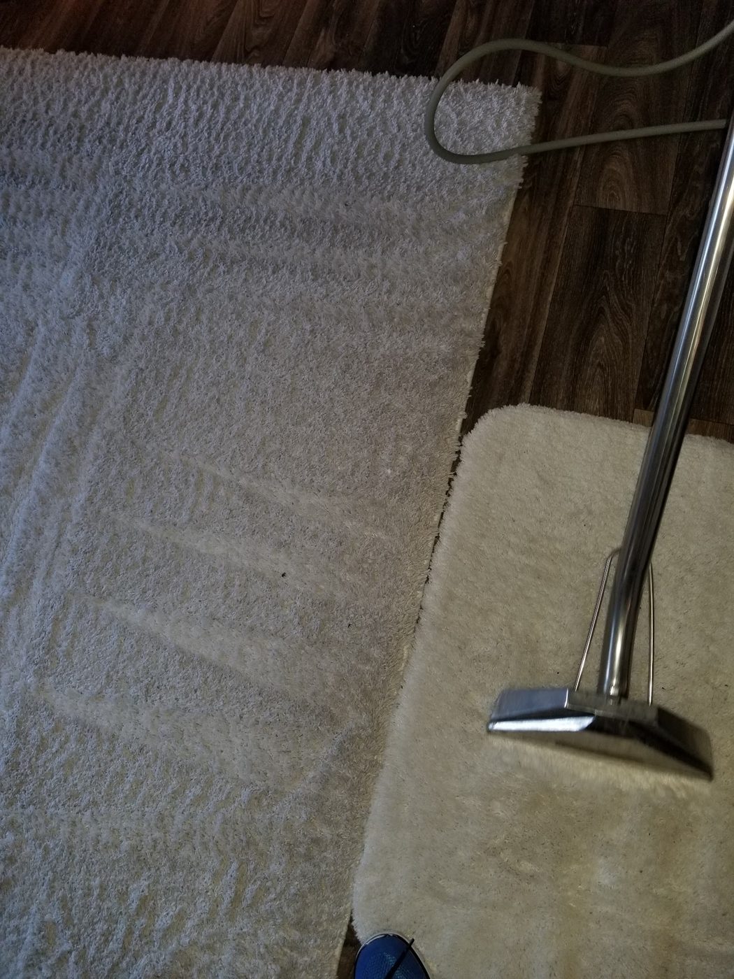 Steam cleaning wand on carpet